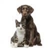 Photo for Ohio County Animal Shelter In Need