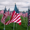 Photo for Memorial Day (Offices Closed)